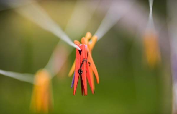 peg relays outdoor activities for children